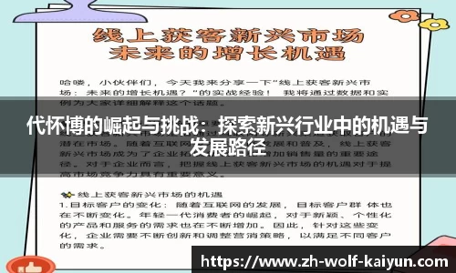 代怀博的崛起与挑战：探索新兴行业中的机遇与发展路径