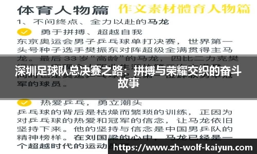 深圳足球队总决赛之路：拼搏与荣耀交织的奋斗故事
